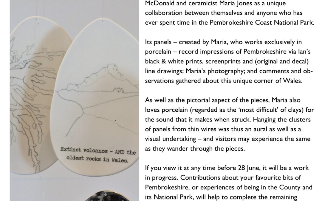 Suspended Collaboration Exhibition Blurb